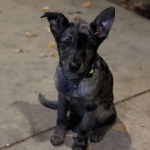 Meet your Posher, Kyle